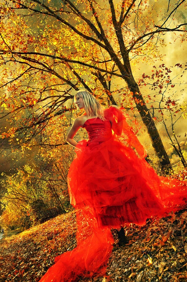 Click to See Next Image